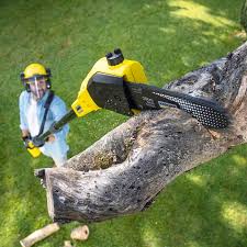 Best Lawn Grading and Leveling  in Tome, NM